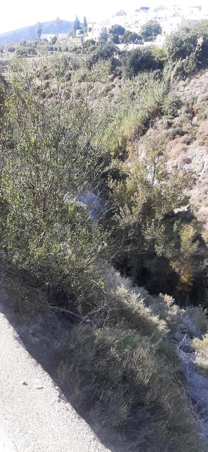 Cortijo Ferre, A Los Pies Del Castillo La Atalaya De Нихар Экстерьер фото
